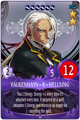 Advice text: <i>VALKENHAYN=R=HELLSING is the elderly butler serving the Alucards. He's competent in his work and knowledgeable in many diverse areas. He's usually polite and calm, but he never tolerates those who mean RACHEL harm.</i>